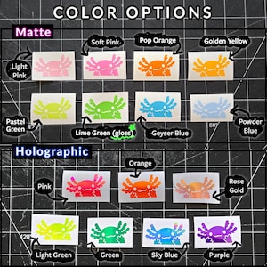 May include: A selection of axolotl-shaped vinyl stickers in matte and holographic finishes. Colours include light pink, soft pink, pop orange, golden yellow, pastel green, lime green, geyser blue, powder blue, pink, orange, rose gold, light green, green, sky blue, and purple.