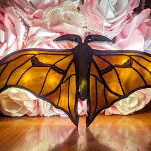 May include: A stained glass butterfly with a yellow and orange body and black wings. The butterfly is illuminated from behind, creating a warm glow.