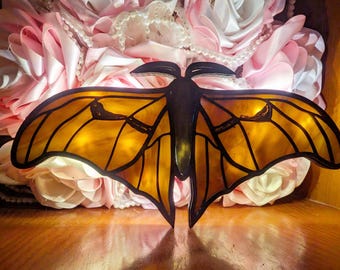 May include: A stained glass butterfly with a yellow and orange body and black wings. The butterfly is illuminated from behind, creating a warm glow.