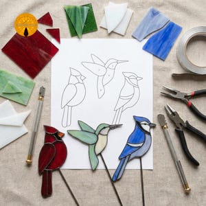 Peut inclure: Plusieurs oiseaux en vitrail, dont un cardinal rouge, un colibri vert et un geai bleu. L'image présente également des morceaux de verre colorés, un motif d'oiseau et des outils de vitrail.