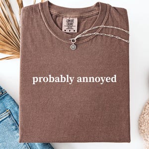 Comfort Colors Probably Annoyed Shirt, Adult Humor Shirt, Mental Health Shirt, Sarcasm Shirt, Funny Quote Shirt, Trendy Shirt, Funny Gifts
