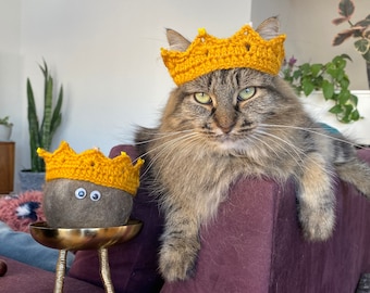 Könnte beinhalten: Eine flauschige braune Tabby-Katze mit einer gelben gehäkelten Krone sitzt auf einem violetten Sofa. Eine kleine graue Kugel mit Glitzern und einer gelben gehäkelten Krone sitzt auf einem goldenen Ständer mit Vogelbeinen.