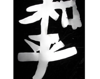 Kanji Symbol HARMONY Metal Garden Art Stake Ornament Oriental Metal Asian Chinese Beach House Home Metal Lawn Yard