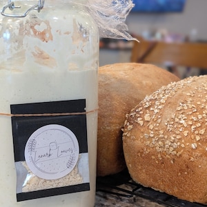 Dehydrated Sourdough Starter