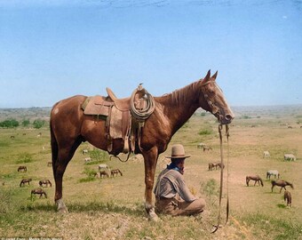 Cowboy and his horse vintage image wall decor art 8 x 10 image unframed