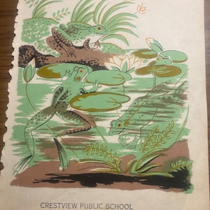 May include: A vintage illustration of three green frogs on lily pads in a pond. The frogs are surrounded by green and brown plants. The illustration is on a white background with the text "CRESTVIEW PUBLIC SCHOOL" at the bottom.