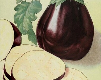 Eggplant print kitchen decor 8 x 10 image