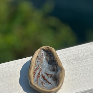 Oyster Shell or Trinket Dish