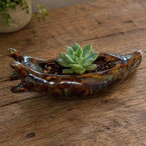 May include: A handcrafted ceramic planter shaped like a hand, glazed in shades of brown, blue, and gold. The planter holds soil and a green succulent plant. The unique design adds a touch of artistry to any home decor.