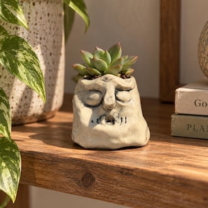 Maceta de cerámica con forma de cara en miniatura / Mini maceta para suculentas / Cerámica hecha a mano con caras divertidas