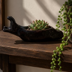 Maceta de cerámica negra con forma de babosa / Cerámica artesanal de estilo caprichoso, decoración cottagecore