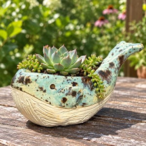 May include: A ceramic whale-shaped planter featuring a speckled light blue and brown glaze on the top half and a textured cream-colored underside. The planter contains a green succulent plant with small, trailing leaves tucked into the opening.