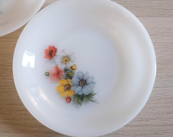 Vintage Set of 2 Arcopal Opal Glass Milk Glass Plates with Floral Patterns, Dinner/Salad/Soup Plate, Retro Home Decor