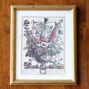 December Flowers Print Wall Art Hanging, Reproduction of Twelve Months of Flowers, Robert Furber 1730, Botanical Art, Gold Frame
