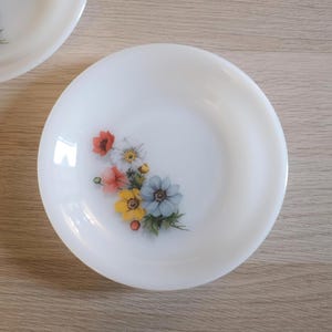 Vintage Set of 2 Arcopal Opal Glass Milk Glass Plates with Floral Patterns, Dinner/Salad/Soup Plate