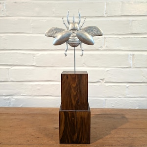 Handmade & hand cast Beetle sculpture - Limited edition (100)