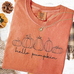 May include: A coral-colored t-shirt with a crew neck and the words "hello pumpkin" in black script. The shirt features a line drawing of five pumpkins. A gold necklace with a pendant is draped on the shirt.
