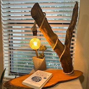 Puede incluir: Una lámpara rústica de madera con una bombilla y una cuerda envuelta alrededor de la rama. La lámpara está sentada sobre una rebanada de madera con un libro titulado "La Psicologia Del Dinero" en la parte superior.