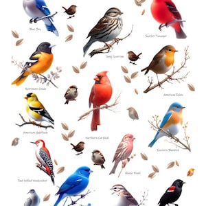Póster de aves, aves de jardín, regalo para amantes de las aves, arte de la naturaleza, arte de pared, póster educativo, aves ilustradas, observación de aves, decoración de la naturaleza, arte