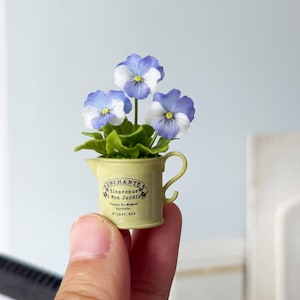 Puede incluir: Una planta en maceta en miniatura con tres flores de pensamiento de pétalos blancos y morados con centros amarillos. Las flores están en una pequeña jarra de cerámica de color amarillo pálido con asa, impresa con el texto ENCHANTE Bienvenue à Mon Jardin.