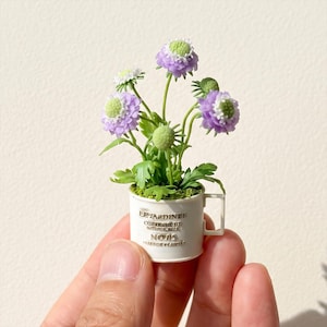 Puede incluir: Una planta en maceta en miniatura con flores moradas y blancas, tallos y hojas verdes, dentro de un pequeño recipiente de plástico blanco con forma de taza que tiene el texto LE JARDINER, COUPE DE NATURE, NOUS y CER DE PLANTE grabado al frente.