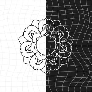 May include: A black and white graphic of a flower, split vertically. The left side is white with a grid pattern, and the right side is black with a similar grid. The flower is outlined in white.
