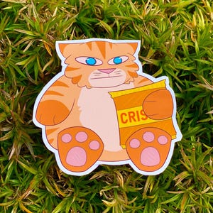 Lustiger Fat Cat Chips Aufkleber / süßes lustiges Cartoon Dummes Geschenk für Teen Teenager Laptop Notebook Wasserflasche