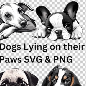 Dogs Lying Down on their Paws Clipart Bundle, 11 Cute Dog Breeds Lying Down SVG PNG Printable, Sublimation, Commercial Use
