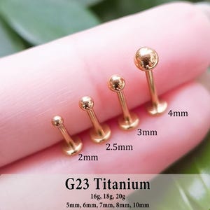 May include: Four rose gold-colored G23 titanium labret studs with ball ends, arranged by size. The text G23 Titanium, 16g, 18g, 20g, and 5mm, 6mm, 7mm, 8mm, 10mm is printed below. Individual ball sizes are labeled as 2mm, 2.5mm, 3mm, and 4mm.
