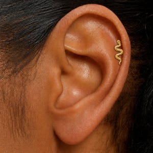 May include: A gold-colored snake-shaped earring is shown on the upper ear. The earring is a small, curved design with a textured surface, resembling a snake. The earring is set against the backdrop of the ear's natural skin tone.