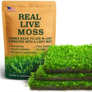 Live Moss Decor – Fresh Natural Green Moss for Houseplants, Planters, Fairy Gardens & Terrarium