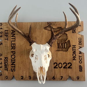 European Mount Plaque