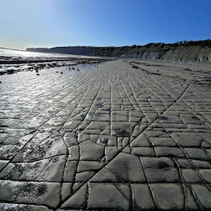 May include: A wide-angle view of a coastal landscape featuring a vast, flat rock formation with a distinct grid-like pattern of deep cracks. The grey stone surface stretches toward a distant cliff line under a clear, bright blue sky with sunlight.