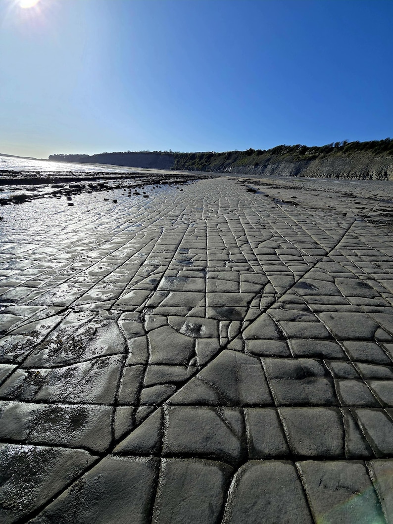 May include: A wide-angle view of a coastal landscape featuring a vast, flat rock formation with a distinct grid-like pattern of deep cracks. The grey stone surface stretches toward a distant cliff line under a clear, bright blue sky with sunlight.