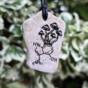 May include: A beige, irregularly shaped stone pendant hanging from a black cord. The stone features a black ink illustration of a chemical structure combined with a cluster of mushrooms, including the text HN and OH.