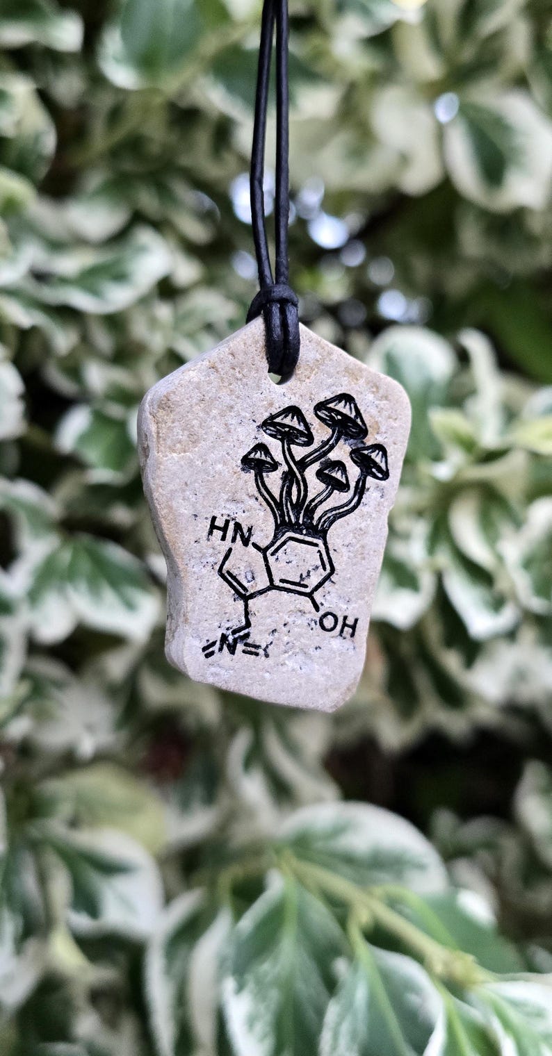 May include: A beige, irregularly shaped stone pendant hanging from a black cord. The stone features a black ink illustration of a chemical structure combined with a cluster of mushrooms, including the text HN and OH.