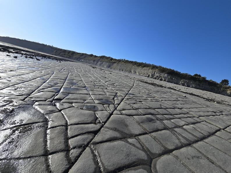 May include: A wide-angle view of a coastal landscape featuring a large, flat expanse of grey, cracked sedimentary rock formations with deep, intersecting fissures, leading toward a distant, low-lying cliff under a clear, bright blue sky.