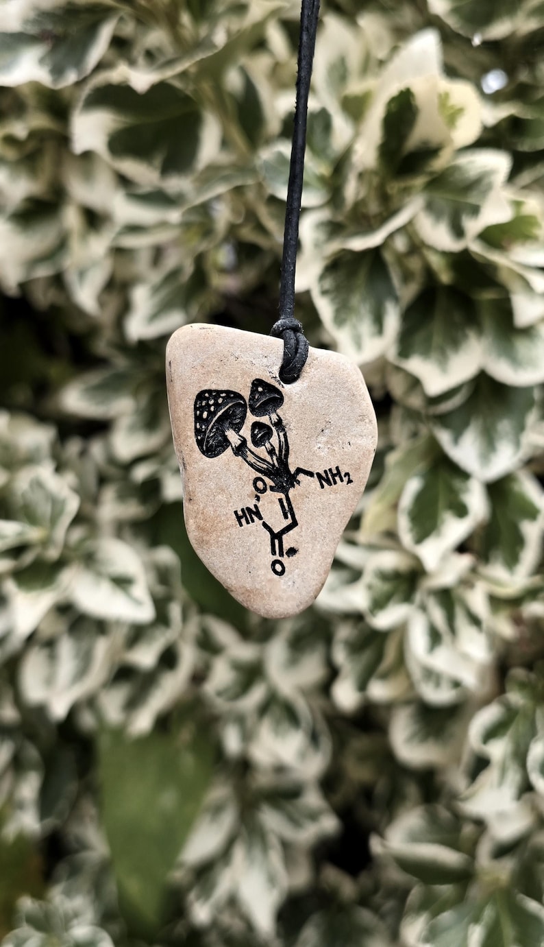 May include: A tan, irregularly shaped stone pendant hanging from a black cord. The stone features a black ink illustration of three mushrooms integrated with a chemical structure diagram including the text NH2, HN, and O.