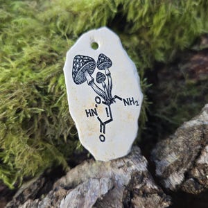 May include: An off-white, irregularly shaped pendant featuring a black ink illustration of three mushrooms growing from a chemical structure diagram. The pendant has a small hole at the top for hanging and a smooth, flat surface with visible texture.