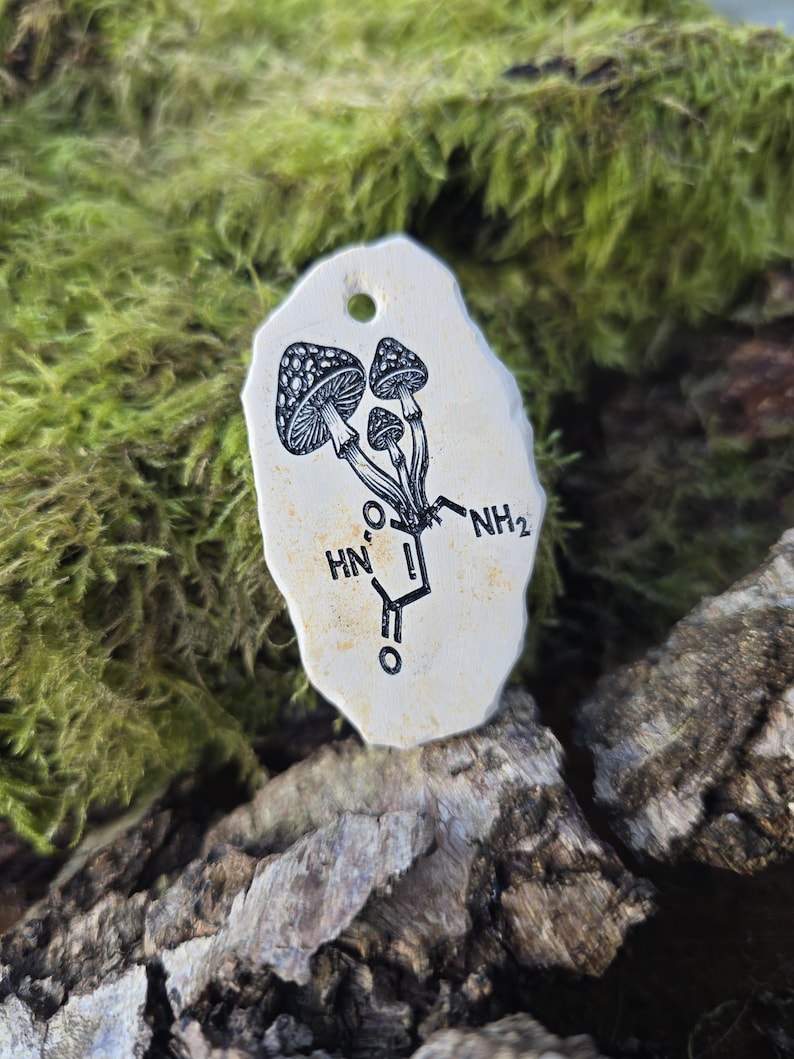 May include: An off-white, irregularly shaped pendant featuring a black ink illustration of three mushrooms growing from a chemical structure diagram. The pendant has a small hole at the top for hanging and a smooth, flat surface with visible texture.