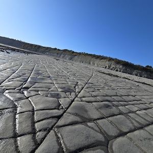 May include: A wide-angle view of a coastal landscape featuring a large, flat expanse of grey sedimentary rock with a distinct grid-like pattern of deep, intersecting cracks. The rock surface is damp and leads towards a distant, low-lying cliff line.