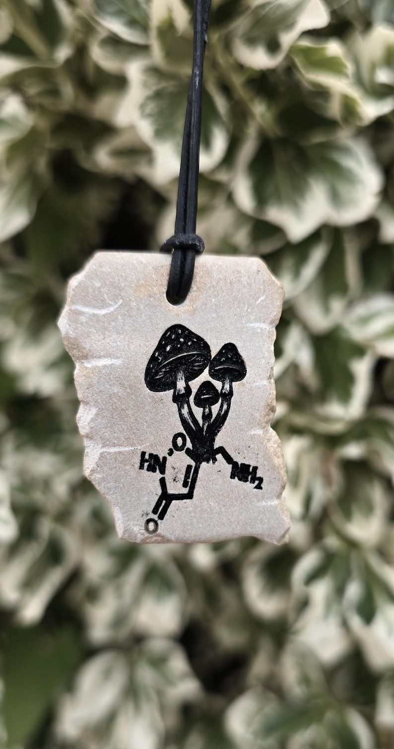May include: A rectangular, light-coloured stone pendant suspended from a black cord. The stone features a black ink illustration of three mushrooms growing from a chemical structure diagram that includes the text HN, O, and NH2.