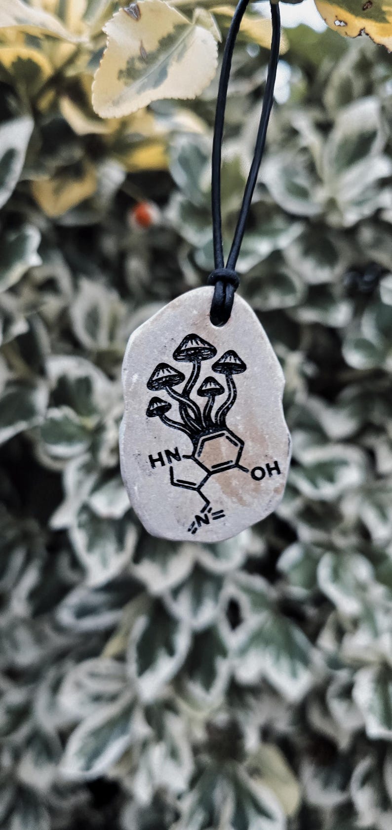 May include: A light-coloured, irregular stone pendant hanging from a black cord. The stone features a black ink illustration of a cluster of mushrooms growing out of a chemical molecular structure, including the text labels HN, OH, and N.
