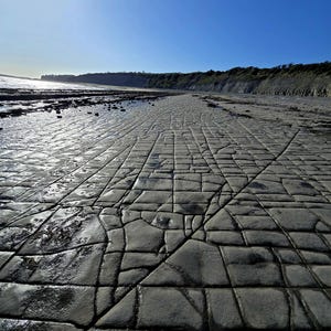 May include: A vast, flat coastal landscape featuring a large expanse of grey, cracked sedimentary rock formations that create a grid-like pattern. The sun shines brightly in a clear blue sky above a distant, rugged cliffside shoreline.
