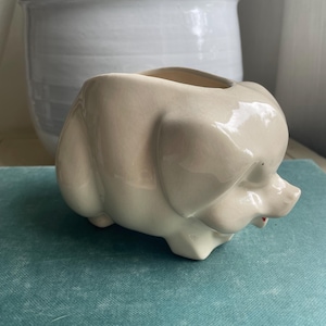 May include: A cream-colored ceramic pig planter with a glossy finish. The planter has a rounded body, small legs, and a detailed snout with a touch of red. The opening is oval-shaped, suitable for small plants or succulents.