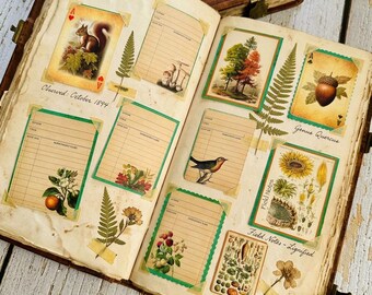 Set of 10 Journal Cards, Scrapbook Embellishments, 7 Styles