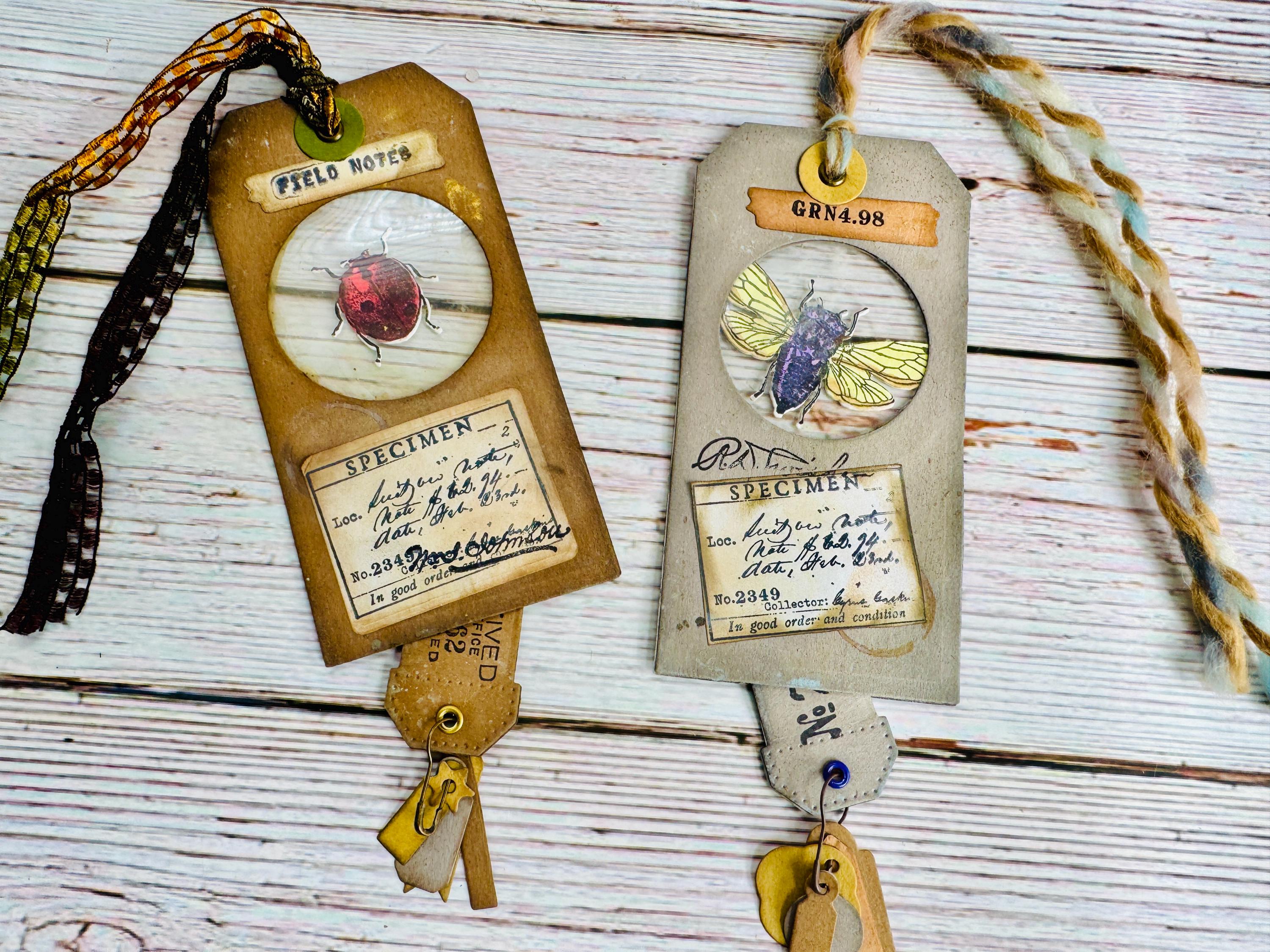 Insect Tag Example Vintage Insect Specimen Slide Tags Set of 2, Handmade Junk Journal Tags ...