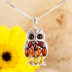 Op de afbeelding: Een zilveren ketting met een uil hanger met barnsteen stenen. De uil is gemaakt van zilver en heeft een gedetailleerd ontwerp. De barnsteen stenen zijn een mix van rood, oranje en geel.