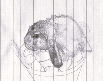 Easter Bunny