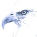 Owner of <a href='https://www.etsy.com/shop/ParkskyDesign?ref=l2-about-shopname&from_page=listing' class='wt-text-link'>ParkskyDesign</a>